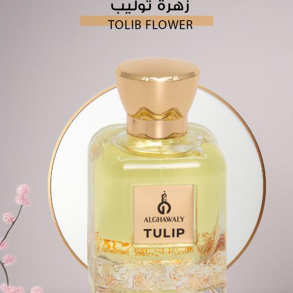 زهرة توليب – Tolib Flower